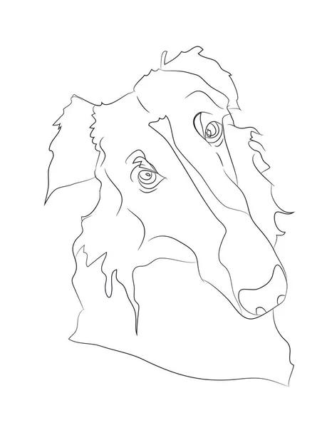 Hund Porträt Linien Vektor Weißer Hintergrund — Stockvektor