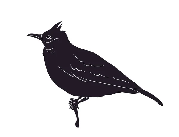 シルエット ベクトル 白い背景の上に座って鳥 — ストックベクタ