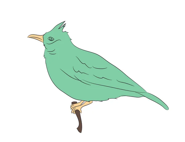 Pájaro Sentado Una Rama Vector Fondo Blanco — Vector de stock