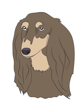 bir köpek portre profil, vektör, beyaz arka plan aşağı, bak