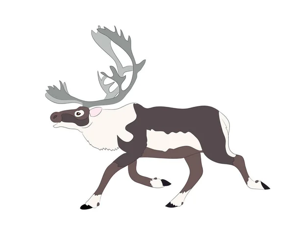 Zeichnung Des Laufenden Hirsches Vektor Weißer Hintergrund — Stockvektor
