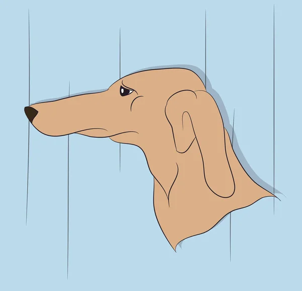 Портрет Собаки Тлі Стіни Вектор Виглядає — стоковий вектор