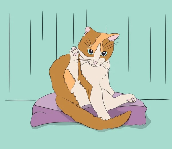 Orange Cat Green Eyes Sitting Room Vector — Stock Vector