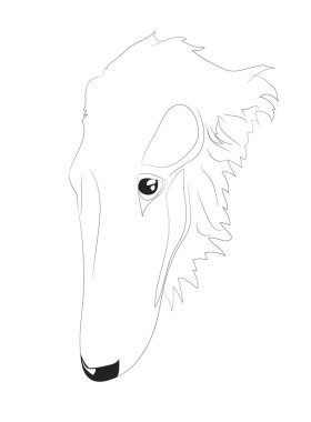 Köpek portresi çizgiler, vektör, beyaz arkaplan