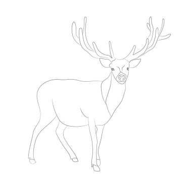 geyik standları çizim çizgileri, vektör, beyaz arka plan