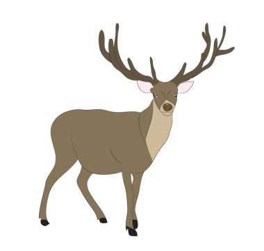 geyik yalanlar, vektör