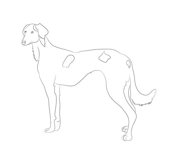 Собака Стоит Линии Вектор Белый Фон Собака Стенды — стоковый вектор