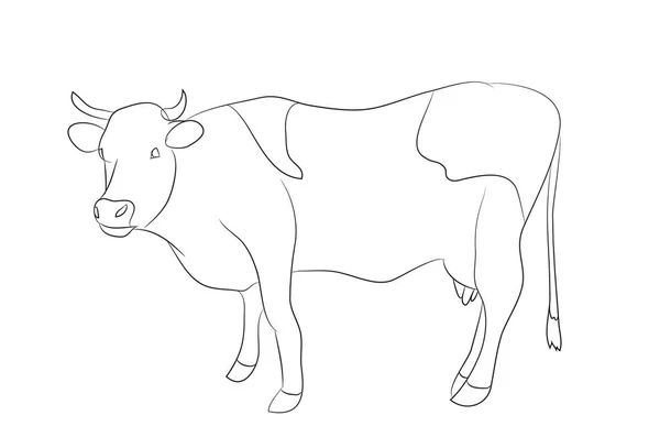 Drawing Cow Line Vector White Background — Stock Vector