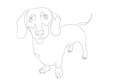 köpek standları çizgiler, vektör, beyaz arka plan, vektör