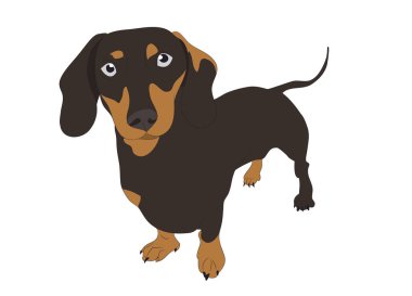 köpek olduğunu bir kahverengi vektör, beyaz adam