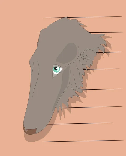 Portret Van Een Hond Achtergrond Van Muur Vector Looks — Stockvector