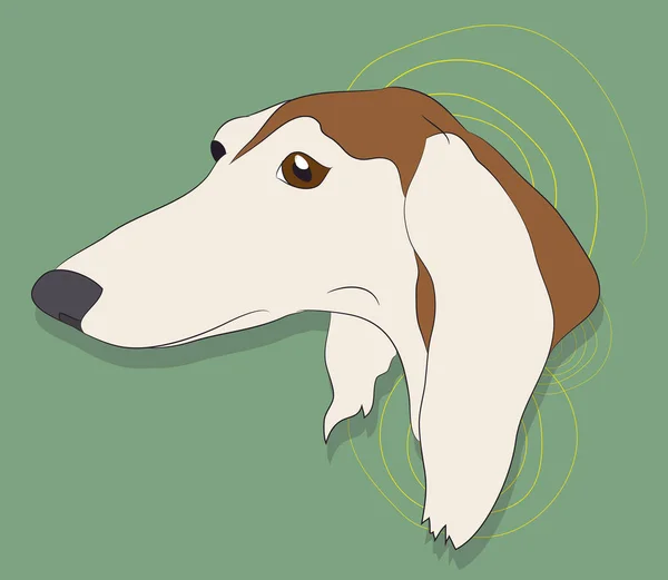 Retrato Perro Fondo Pared Vector — Archivo Imágenes Vectoriales