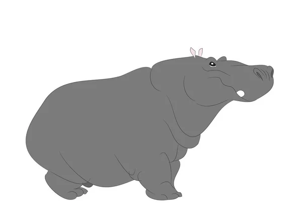 Hippopotamus Encuentra Dibujando Color Vector Fondo Blanco — Archivo Imágenes Vectoriales