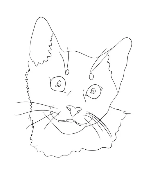 고양이 고양이 초상화 — 스톡 벡터