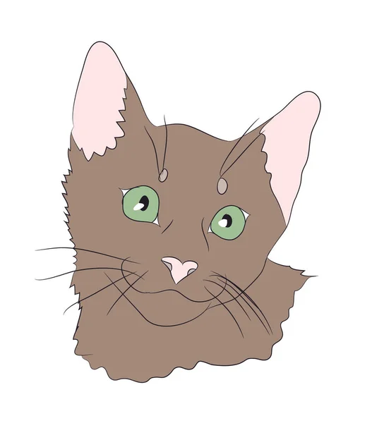 Cat Portrait Vector White Background Cat Portrait — Stock Vector