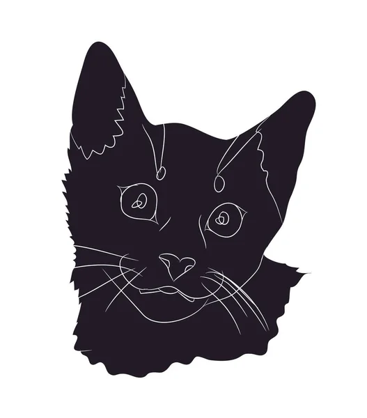 Kočičí Silueta Vektor Bílé Pozadí Kočka Portrét — Stockový vektor