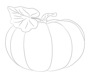 sebze ve meyve çizim çizgileri, vektör, beyaz arka plan