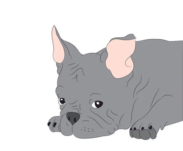 Perfil Retrato Perro Mirar Hacia Abajo Vector Fondo Blanco — Archivo Imágenes Vectoriales