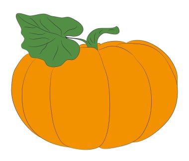 sebze ve meyve desen renk, vektör, beyaz arka plan