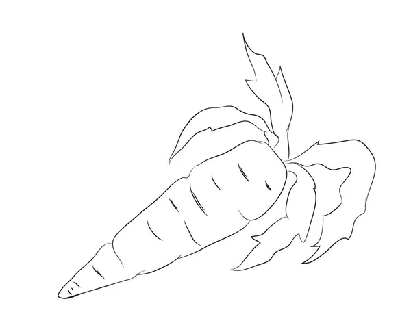 Légumes Fruits Dessin Lignes Vecteur Fond Blanc — Image vectorielle