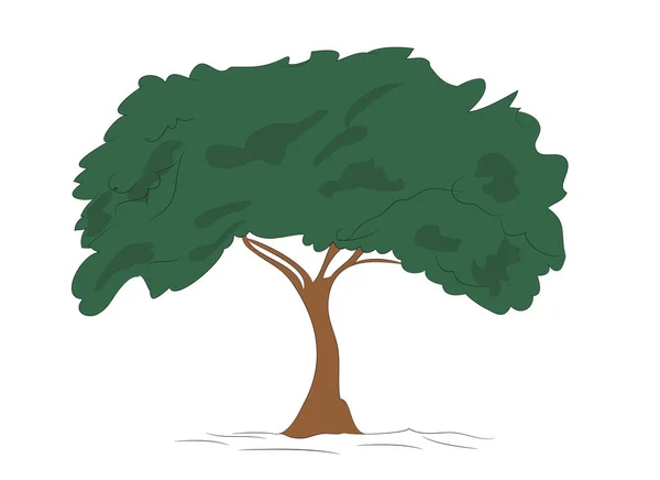 Warna Gambar Pohon Besar Vektor Latar Belakang Putih - Stok Vektor