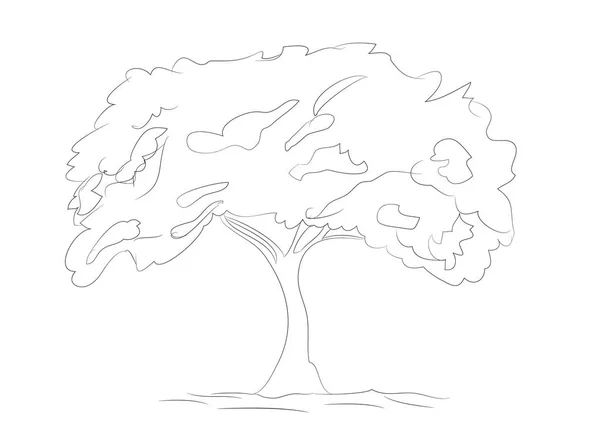 Garis Gambar Pohon Besar Vektor Latar Belakang Putih - Stok Vektor