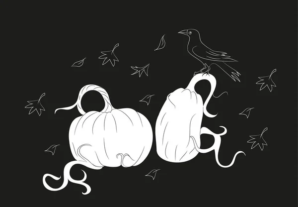 kabaklar üzerinde karga Cadılar Bayramı'nda oturur,