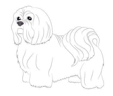 köpek standları çizgiler, vektör, beyaz arka plan, köpek standları