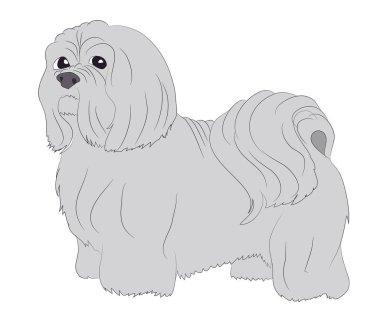 köpek bir köpek ayakta vektör, beyaz adam olduğunu