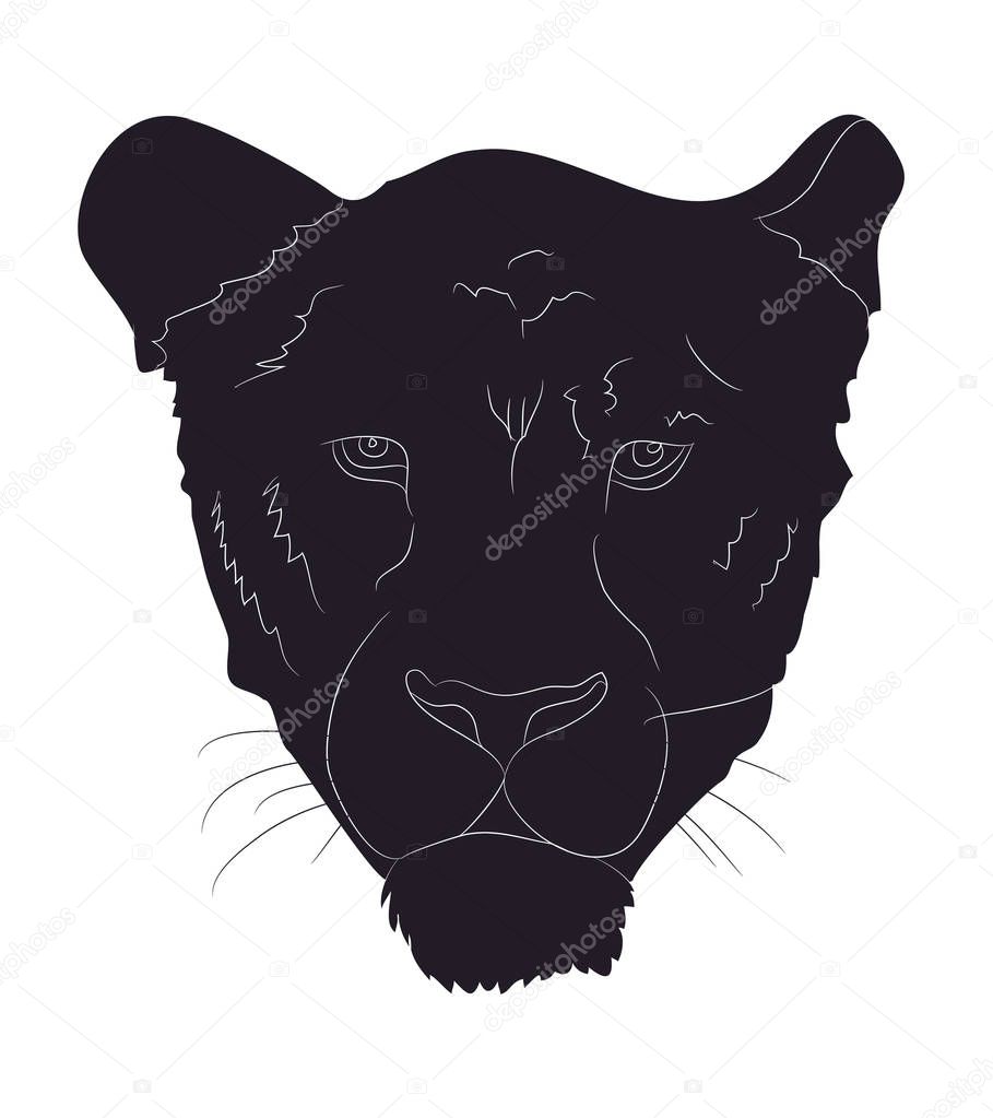 portrait of a cougar silhouette, vector, white background