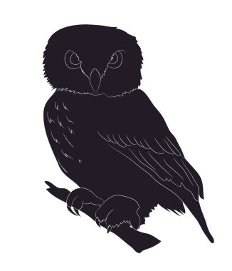 çizim silueti, vektör, beyaz arka plan baykuş standları