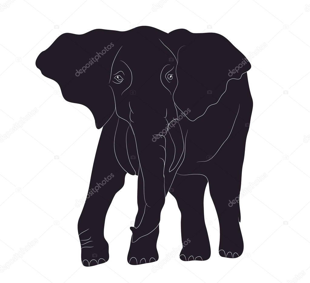 Elephant goes drawing silhouette, vector, white background