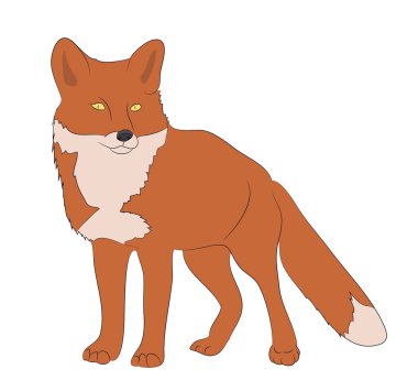 değer çizim rengi, vektör, beyaz arka plan tilki