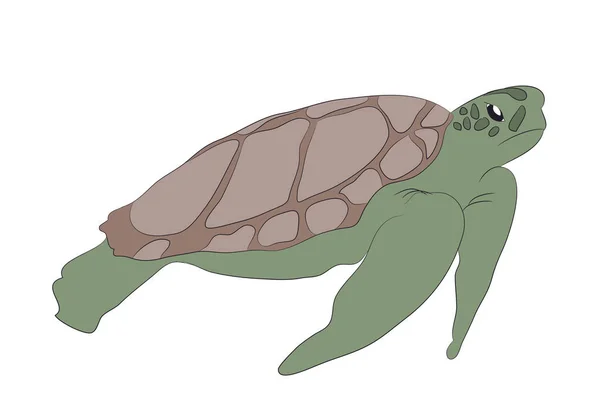 Grøn Skildpadde Svømmetegning Vektor Hvid Baggrund – Stock-vektor