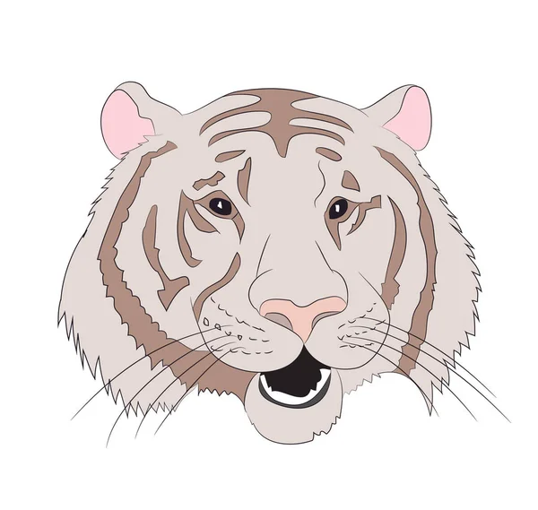 Portrait Orange Tiger Vector White Background — Stock Vector