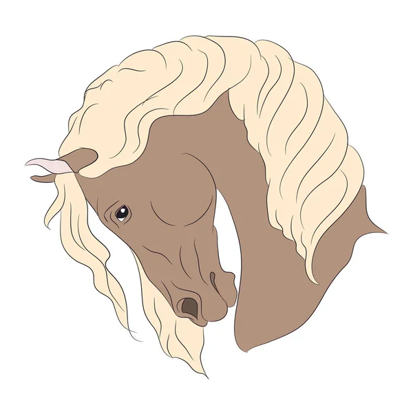 Koně Portrét Výkresu Barvu Vektorové Bílé Pozadí — Stockový vektor
