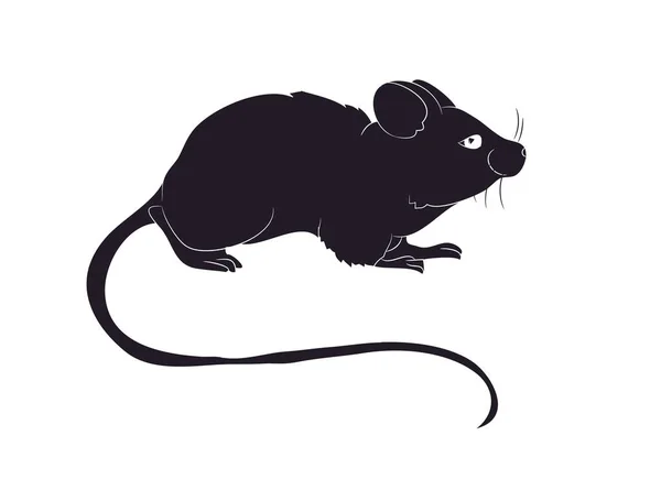 Мышь Стоит Рисовать Силуэт Вектор Белый Фон — стоковый вектор
