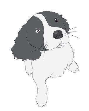 oturan köpek, siluet, vektör, beyaz arka plan, vektör