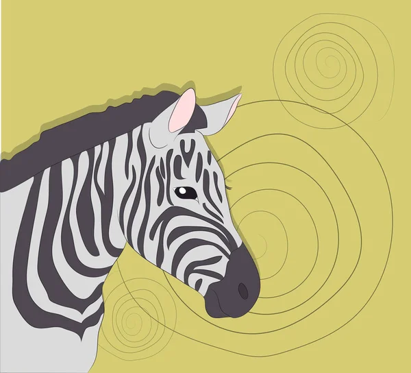 Retrato Zebra Sobre Fundo Colorido Vetor — Vetor de Stock