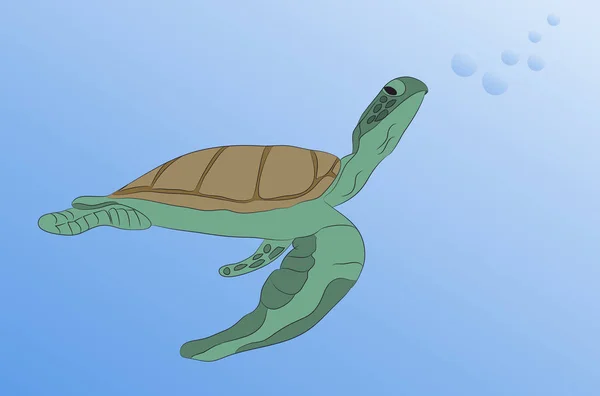 Tortuga Nada Bajo Agua Vector Mar Azul — Vector de stock