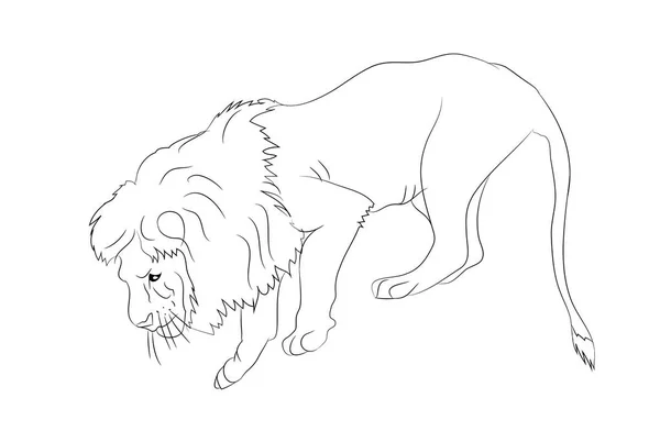 Vector Εικονογράφηση Ενός Λιονταριού Που Στέκεται Διάνυσμα Λευκό Φόντο — Διανυσματικό Αρχείο