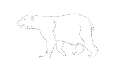 vektör çizim çizim çizgileri, vektör, beyaz arka plan ile standları bir ayı