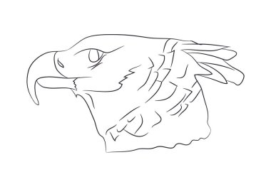 portre çizim çizgileri, vektör, beyaz arka plan tarafından kartal, vektör çizim