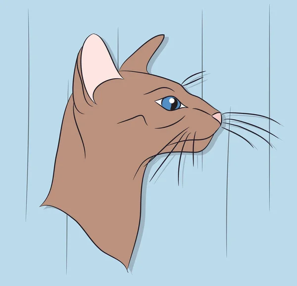 Vektor Illustration Katze Mit Grünen Augen Sitzt Raum Vektor — Stockvektor