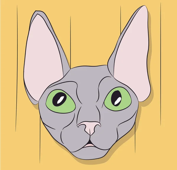 Векторна Ілюстрація Кішки Зеленими Очима Сидячи Кімнаті Вектор — стоковий вектор