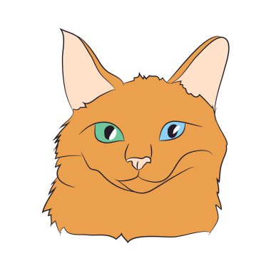 kedi portre, vektör, beyaz arka plan, renk çizim