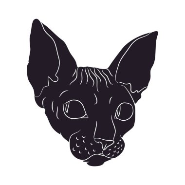 Kedi siluet vektör, beyaz arka plan, kedi portre