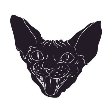 Kedi siluet vektör, beyaz arka plan, kedi portre