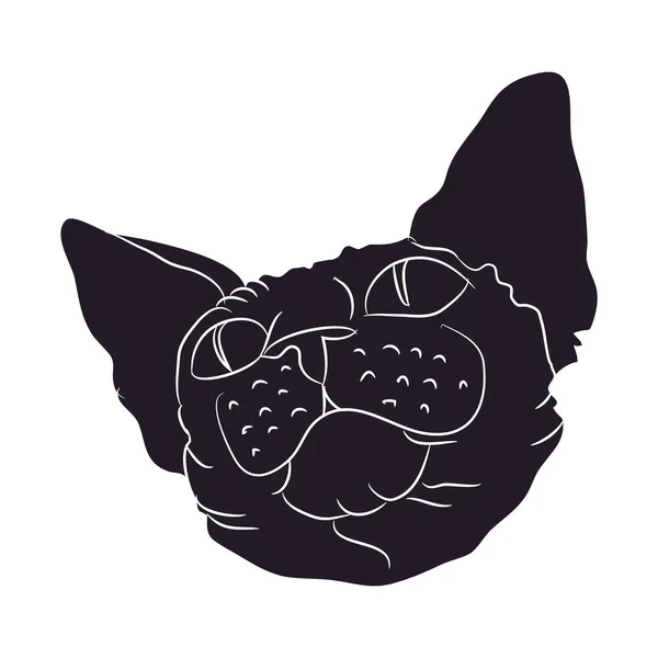 Kedi siluet vektör, beyaz arka plan, kedi portre