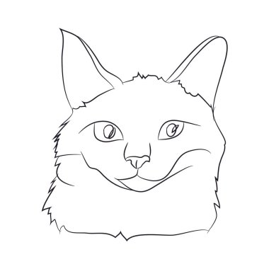 kedi portre, çizgiler, vektör,